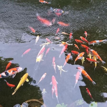 Gyokutei Hotell Hakone Exteriör bild
