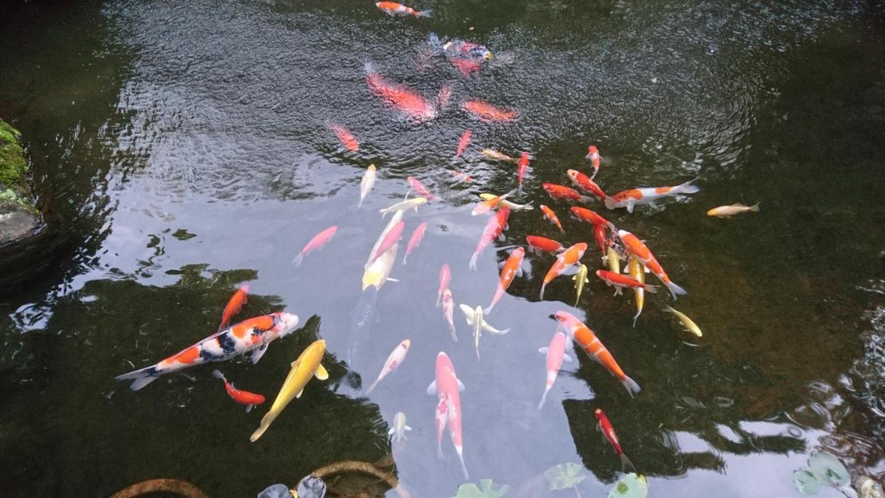 Gyokutei Hotell Hakone Exteriör bild