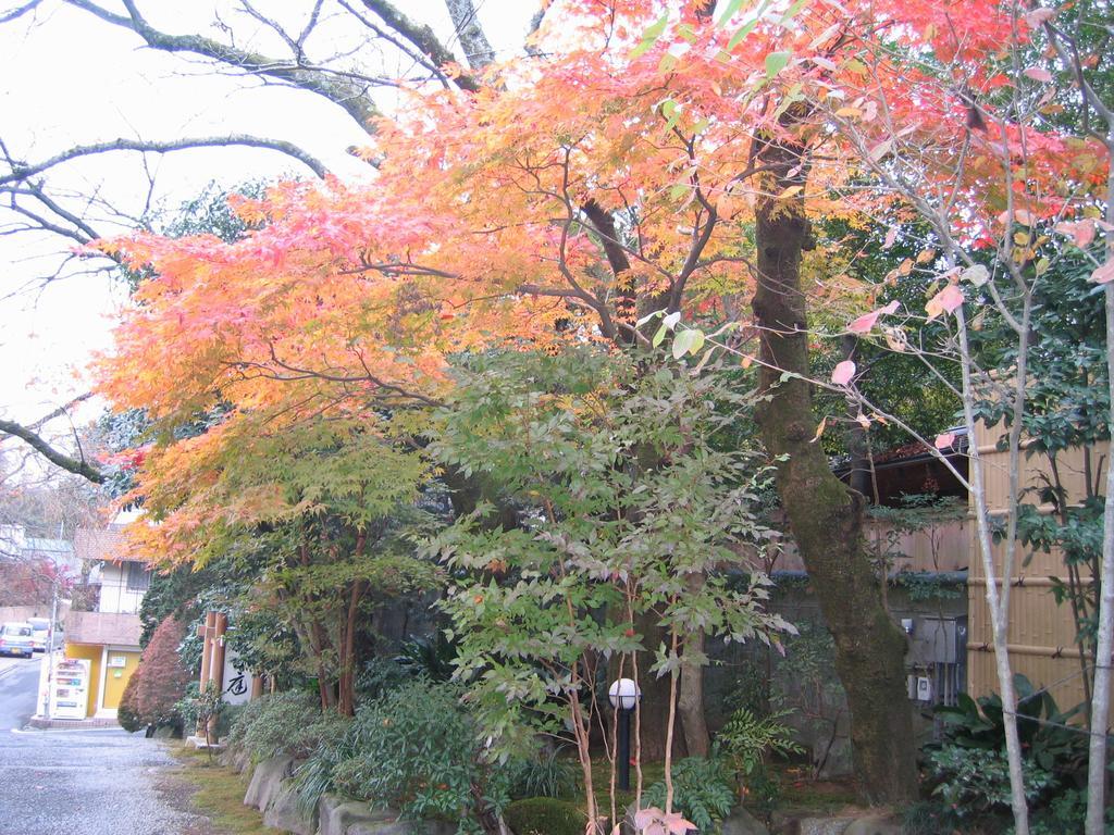 Gyokutei Hotell Hakone Exteriör bild